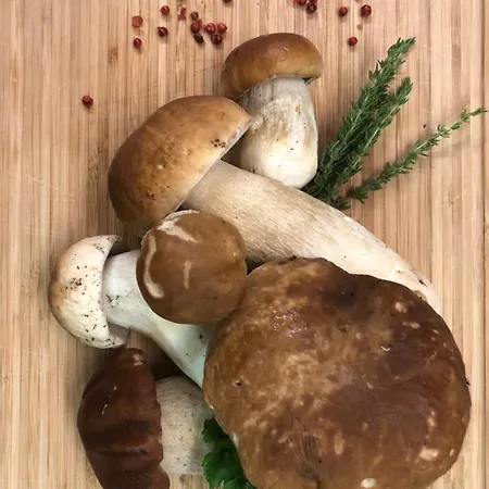 Restaurant Gaestehaus Wiesenheim Pensjonat Uderns