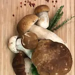Restaurant Gaestehaus Wiesenheim Πανσιόν Uderns