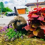 Πανσιόν Restaurant Gaestehaus Wiesenheim